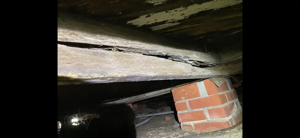 rotted floor joist