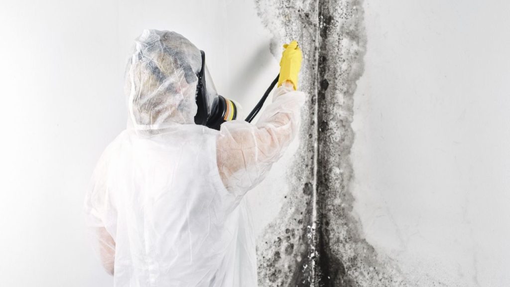 Home Remedies for Mold