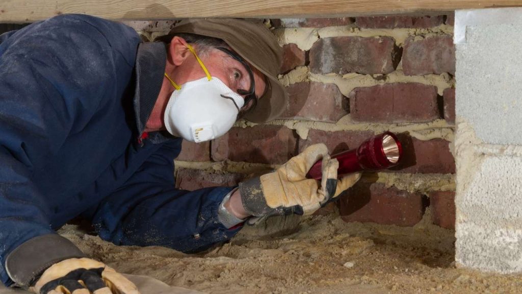 Doing regular inspection